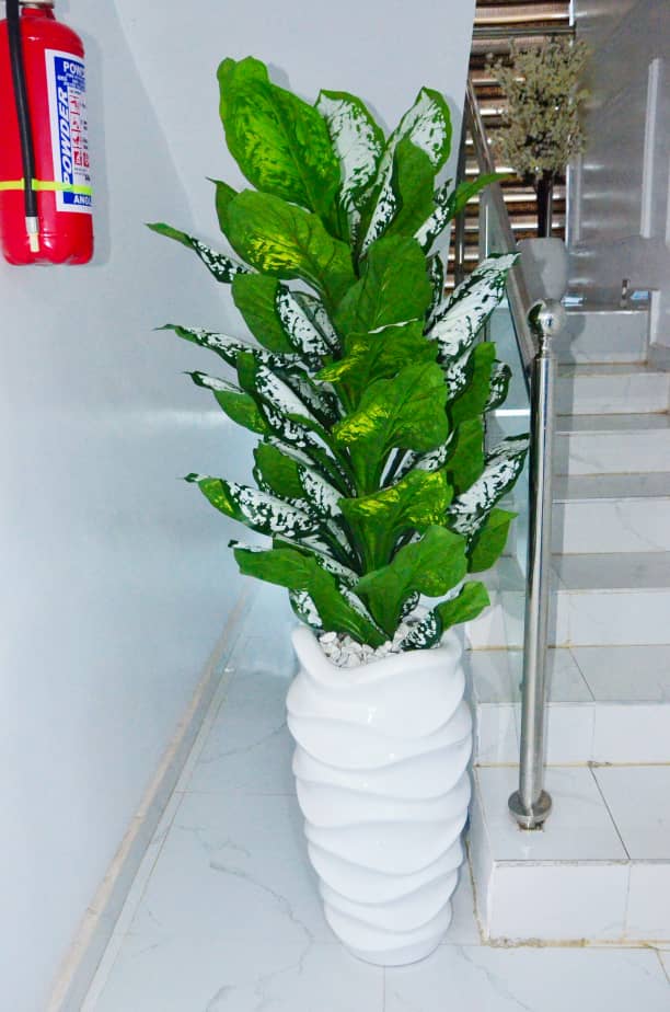 PHOTO NEWS: DARMINAH LUXURY HOTEL COMMENCES OPERATIONS IN AKURE